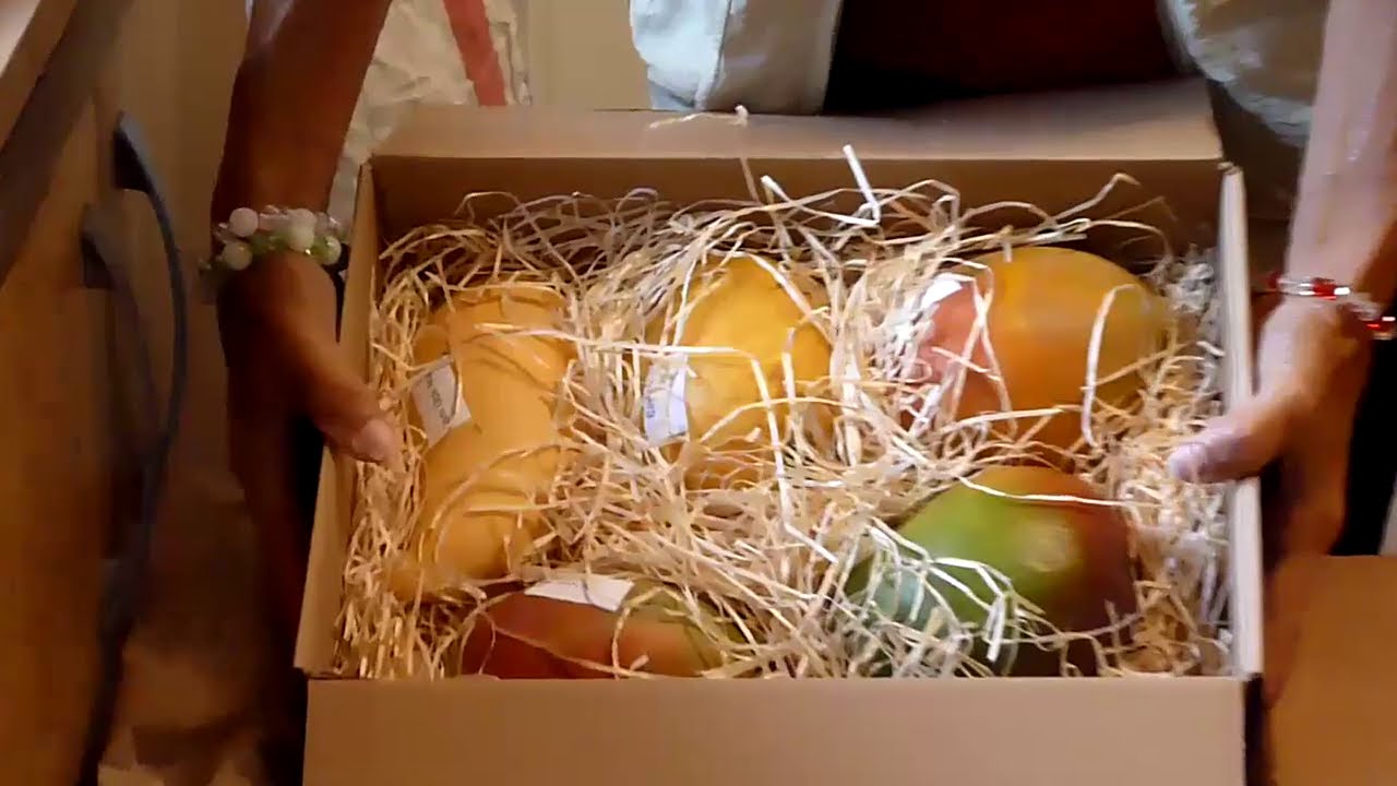 Heißer Tipp - `coole` Früchte ` 😍 #Jurassic Fruit     🍉 🥑  🍉