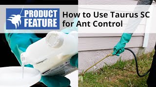 How to Use Taurus SC For Ant Control