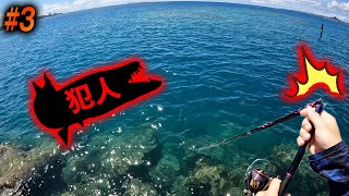 【#3】竿が真っ二つ!?凶暴な大型肉食魚現る!【車中泊キャノンボール大会】