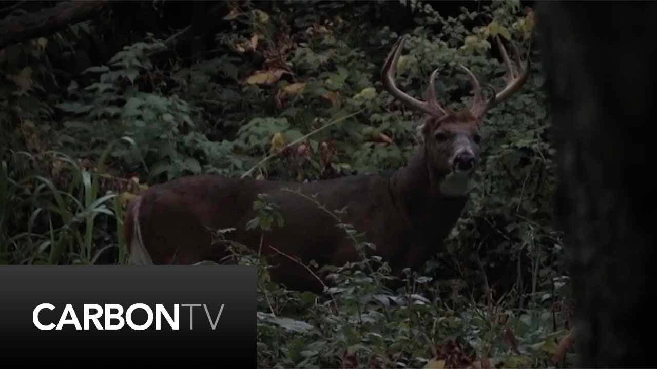 Fighting With  “Heavy Weight”