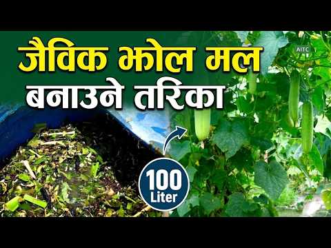 घरमै बनाउनुहोस् शक्तिशाली जैविक झोल मल | How to make Organic Liquid Fertilizer at Home