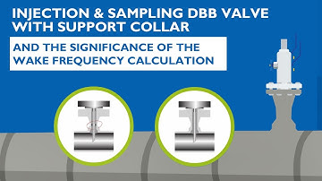 Injection/sampling DBB valve with support collar and significance of the wake frequency calculation