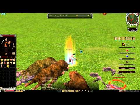 Metin2 Python Levelbot Preview