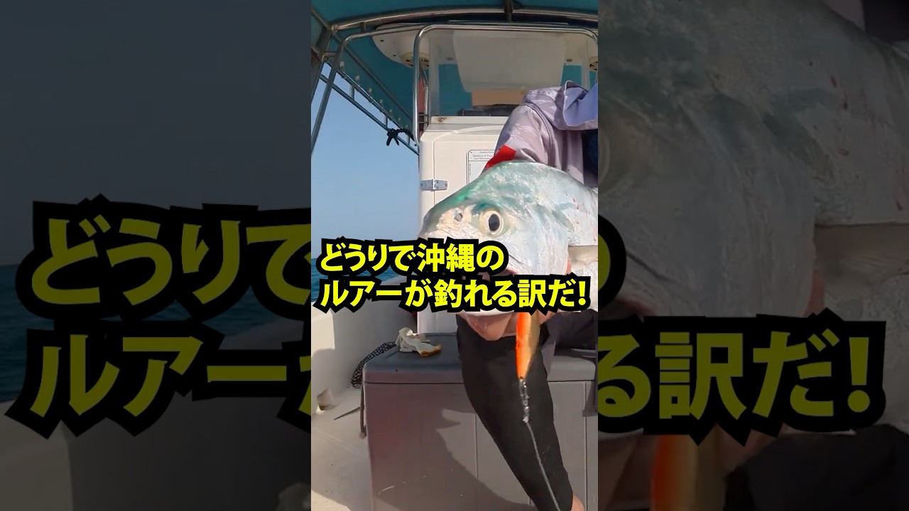 海外で無双！？中東アングラーが沖縄ルアーを使った結果…！