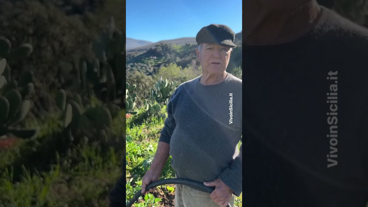 Perché ho scelto di vivere in Sicilia