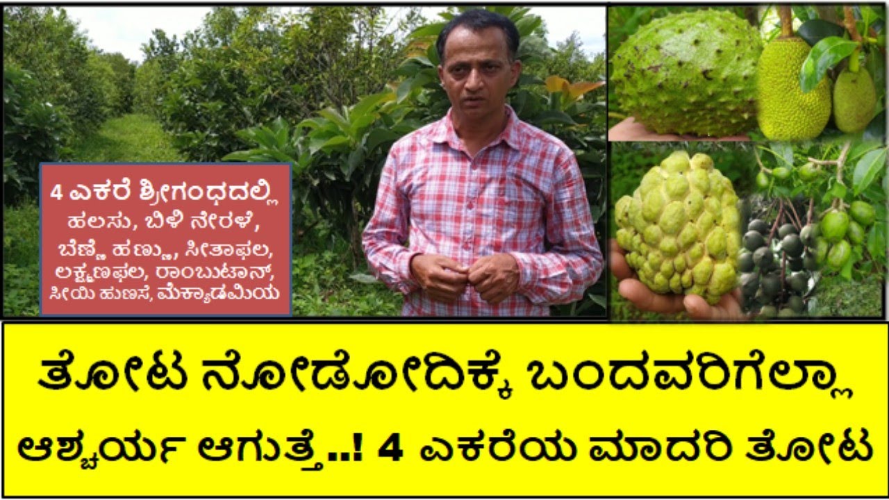 ನನ್ನ ತೋಟ ನೋಡಿ ಆಶ್ಚರ್ಯ ಪಡುತ್ತಾರೆ 