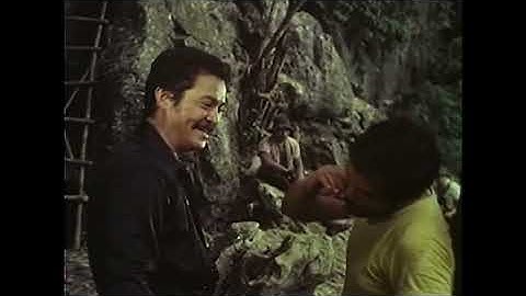 KALIBRE .45 | Full Movie | Action w/ FPJ and Lito Lapid