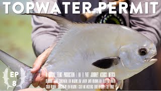 Fly Fishing for Permit on Topwater? Fishing Mexican Beaches on a Day That Ends In Mayhem | Ep 8 of…7