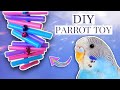 How To Make Budgie TOYS | DIY Under $5