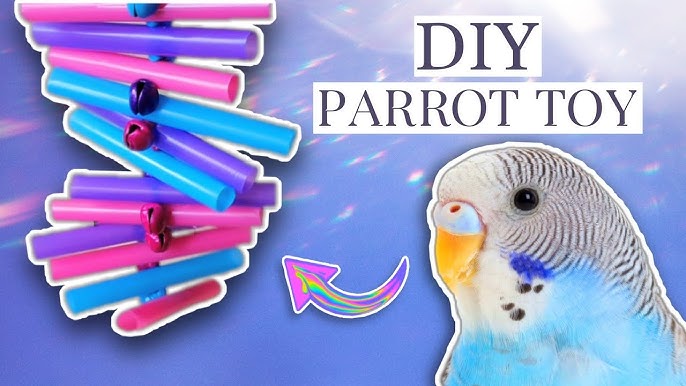 4 Simple Diy Budgie Toys You