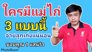 การคัดไก่ตัวเมีย การคัดไก่ตัวเมียมาทำแม่พันธุ์ การคัดเลือกแม่พันธุ์ของฟาร์มใหญ่