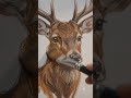 Painting a Majestic Deer in the Forest 🦌🎨