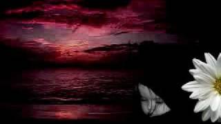 Sleeping Music - relaxing sounds.flv
