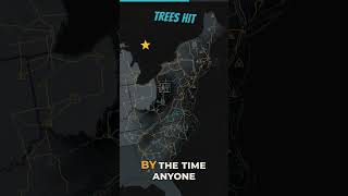 The 2003 Northeast Blackout The Alarm Bug Behind the Cyber Security