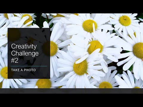 Creative Challenge #2