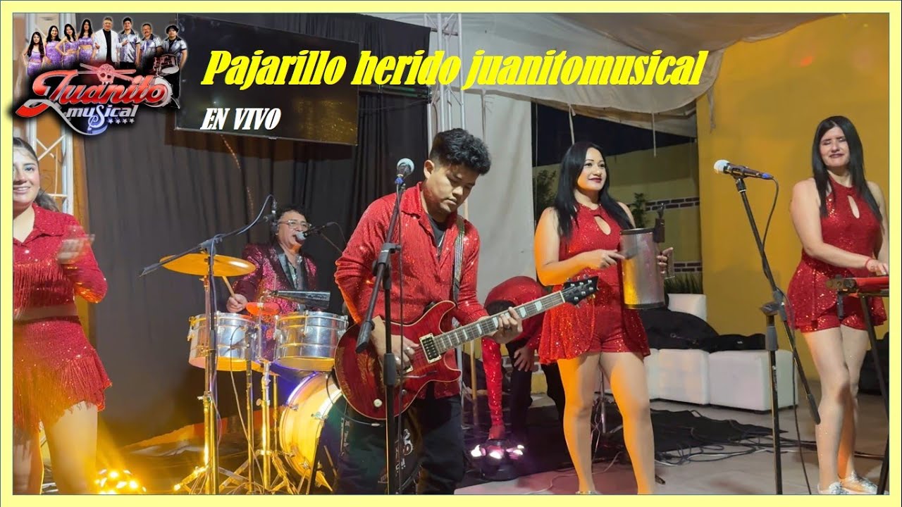 PAJARILLO HERIDO - JUANITOMUSICAL