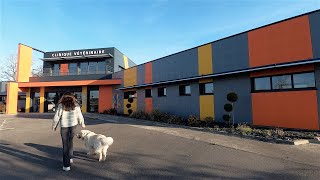Clinique Vétérinaire Almavet - Allaire