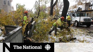 Rural Manitoba still without power after snowstorm