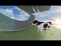 surf_life_of_cow WR. Surfed by emil