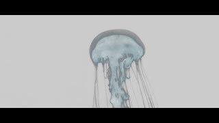 Miniatura de "Ondi Vil & Teqkoi - Drowning w/ Mehkare Merson / 🌎 Shedd Aquarium, Chicago, Illinois"