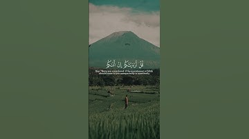سورة الأنعام | رعد الكردي