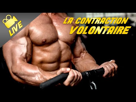 Prenez plus de muscle avec la contraction volontaire et la connexion cerveau-muscle !