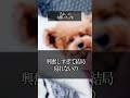 【名言】るか。の有難いお言葉。#shorts
