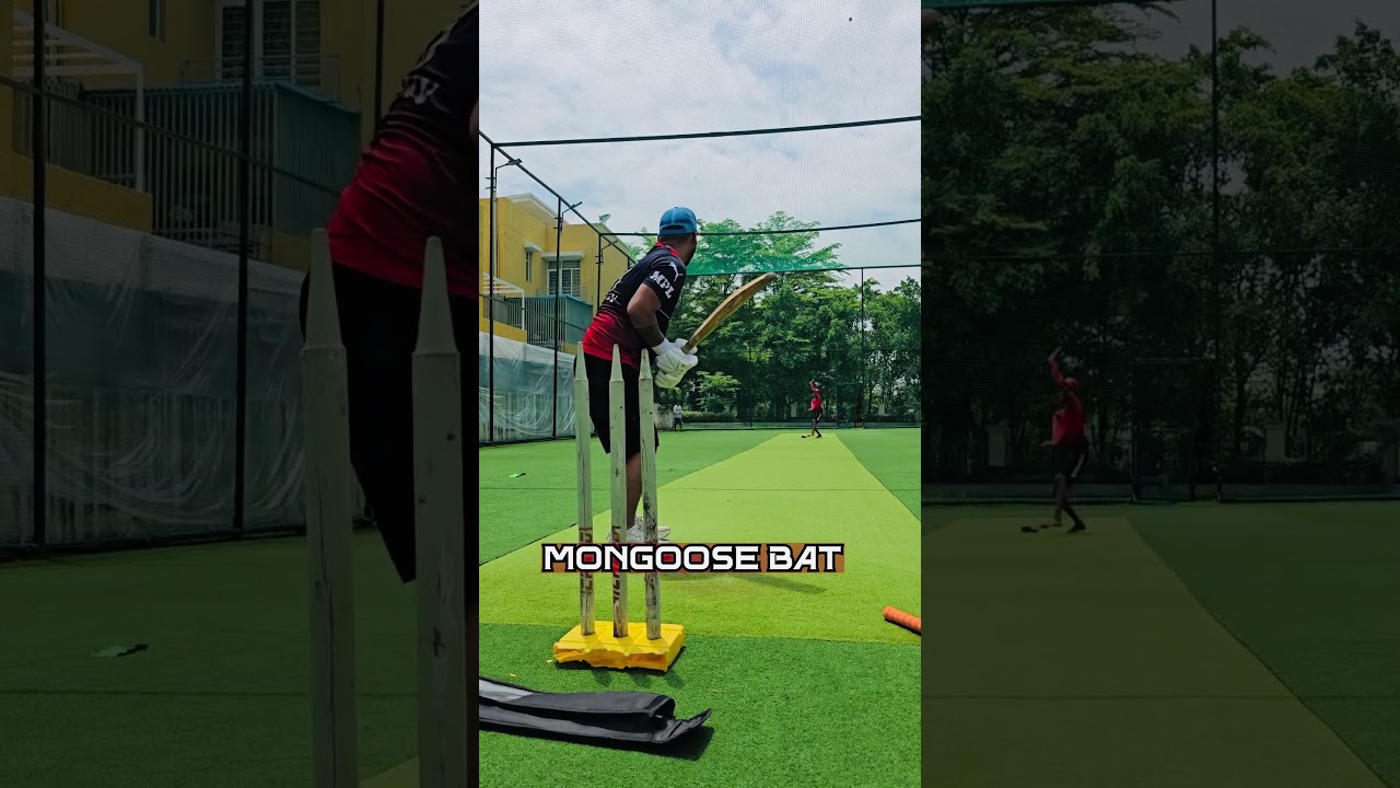 Test result of 5 unique Cricket are unbelievable 🤯 