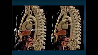 You Make the Call! Freestyle Radiology Quiz #12