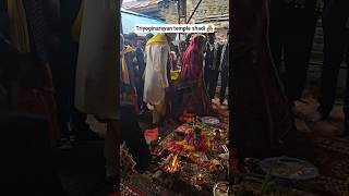 🛕Triyoginarayan Temple Shadi Devbhoomi Mein Saat Phere! ✨ Temple Wedding #shorts #viral