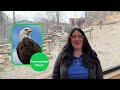 Me pregunto... ¿Qué significa que un animal está en peligro de extinción?