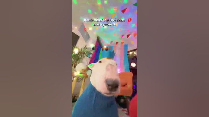 Happy Pride Month! #pride #month #meme #dogs #love #dogshorts #funny