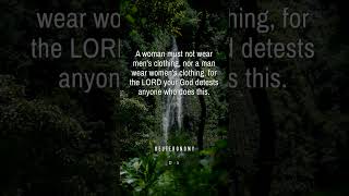 Verse of the Day: Morning armor. 🛡️⚔️ #faithoverfear #verseoftheday #Justify #Meat #Breath
