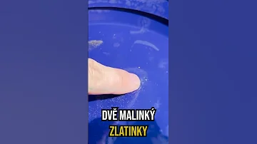 Kolik zlata zbývá k nalezení?