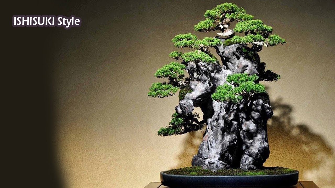 INSPIRASI GAYA BONSAI di Celah Batu (Best In a Rock Style Bonsai / Ishisuki) YouTube