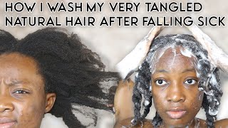 HOW TO WASH TANGLED NATURAL  HAIR! NEVER struggle again!!!
