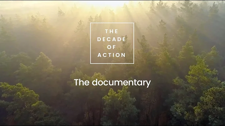 The Decade of Action, the documentary