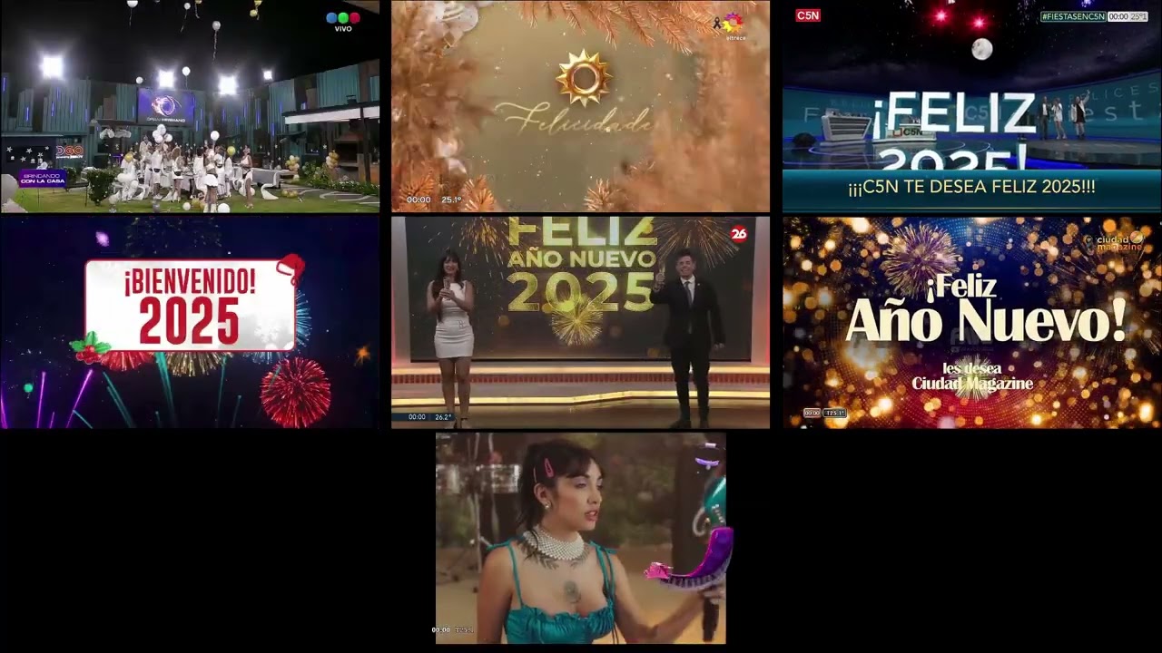 Mosaico: Así la TV argentina recibió el 2025