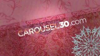 Carousel30 2009 Holiday Card