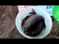 Download Северная Карелия 2018 Часть1/ North Karelia 2018 Part 1 Северная Карелия 2018 Часть1/ North Karelia 2018 Part 1