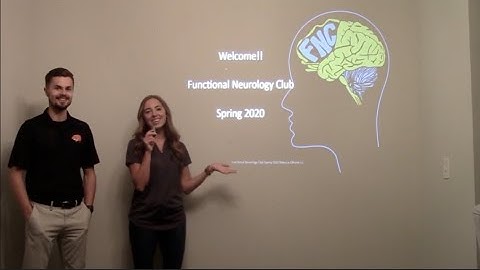 Intro to Functional Neurology