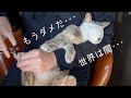 爪切りに文句を言う猫と、落ち込むもふもふマスク | #モアクリ Vlog046