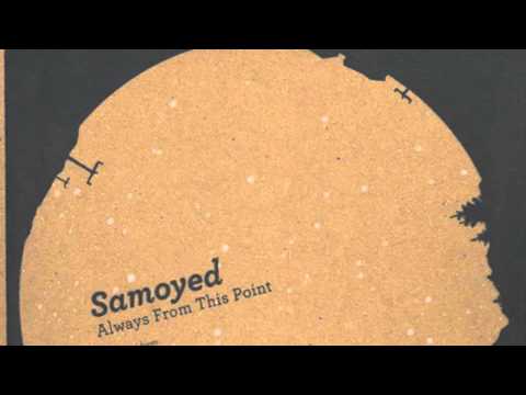 Samoyed — Samoyed - Making Snow