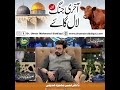 The last war and the red heifers  dr umair mahmood siddiqui  faysal qureshi  tv one  ramadan