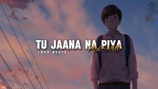 Tu Jaana Na Piya 💕😞 (Slowed + Reverb) Mashup | King&#39;s Mashup | Luvr Beats