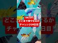 株で100万円どこまで増やせるかチャレンジ #29 損切王