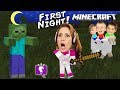 HobbyMom's First Night Playing Minecraft!