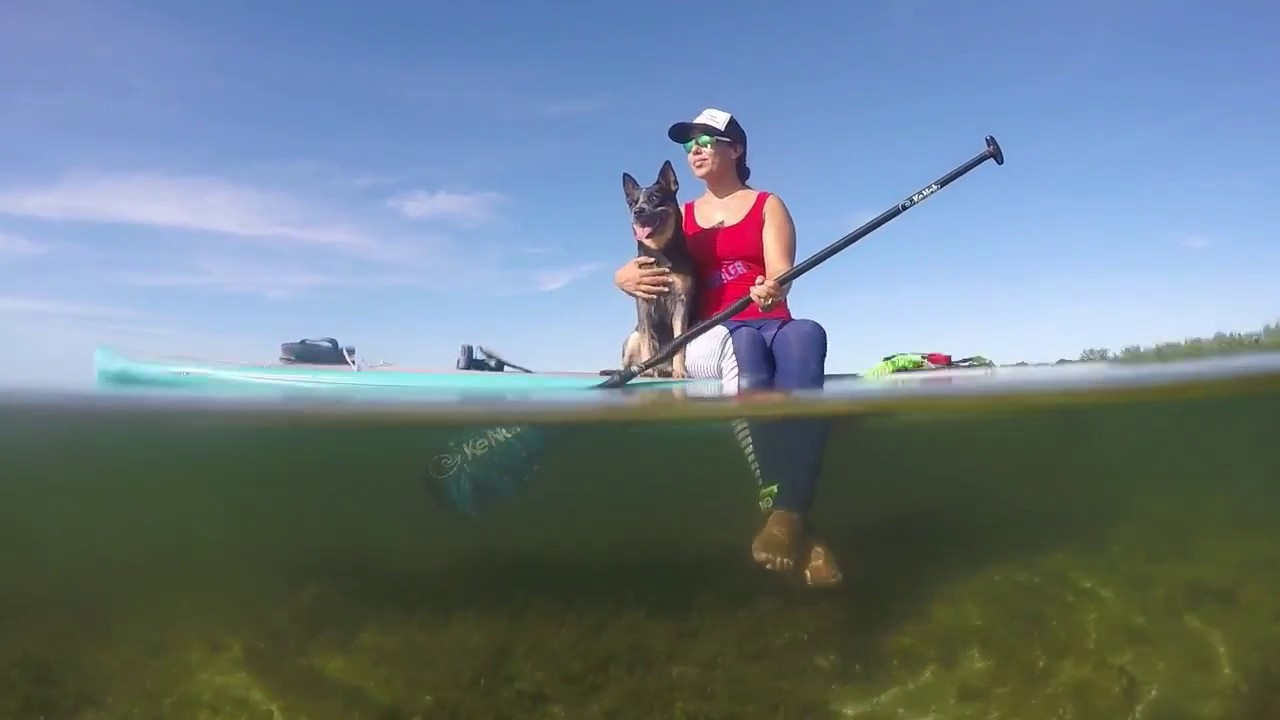 Reach Beyond The Shore by Lizi