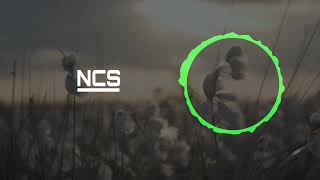 Steve Hartz Never Give Up No Copyright Music