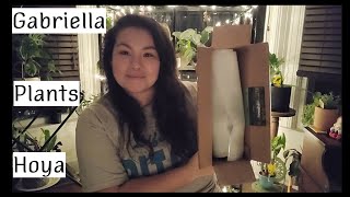 Gabriella Plants Unboxing | Another New Hoya!